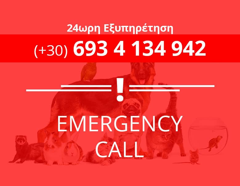 Emergency Call (+30) 6934134942
