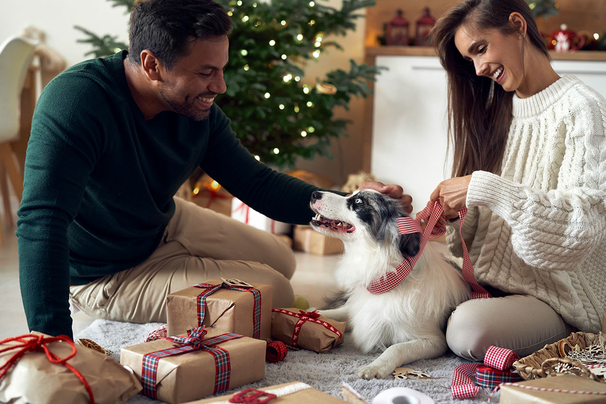 dog with happy family in front of the christmas tree