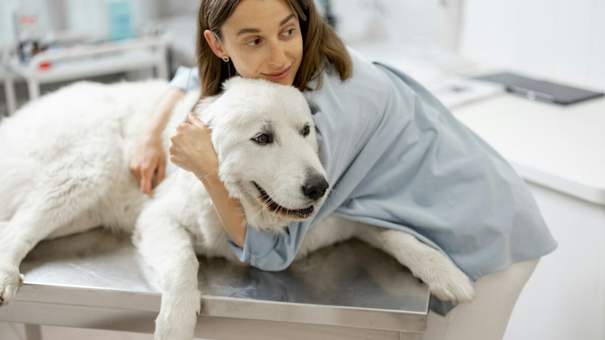 Ηλεκτρονική Σήμανση Ζώων Συντροφιάς - Woman huging a dog in a clinic table